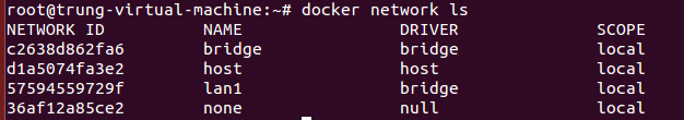 docker network ls.PNG