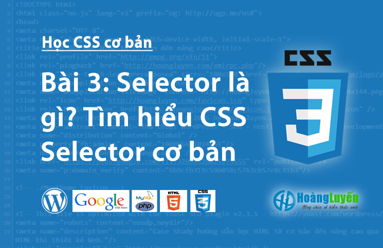 Selector là gì? Tìm hiểu CSS Selector cơ bản