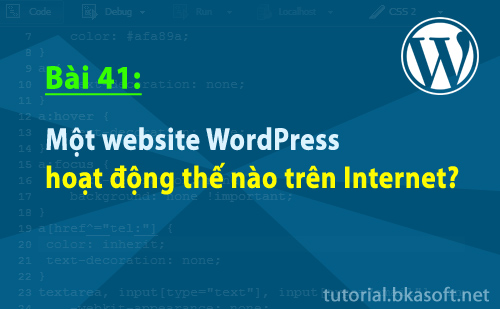 mot-website-wordpress-hoat-dong-the-nao-tren-internet