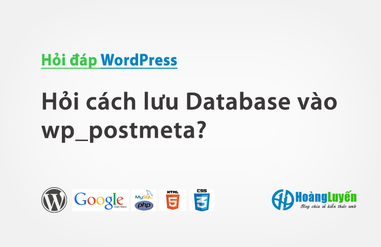Hỏi cách lưu Database vào wp_postmeta?