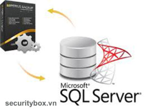 bao mat du lieu trong SQL Server