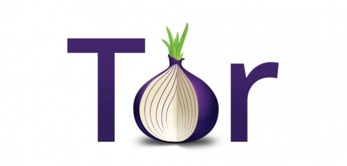 TorLogo-v2-onion1-702x336