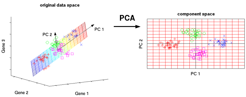 PCA reduce 3D to 2D space