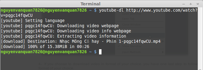 download video youtube from terminal