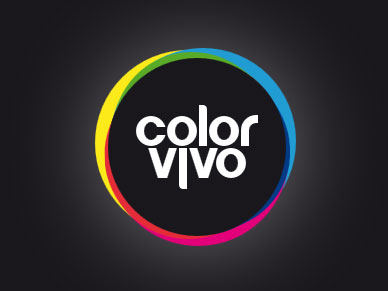 css3-logo-colorvivo