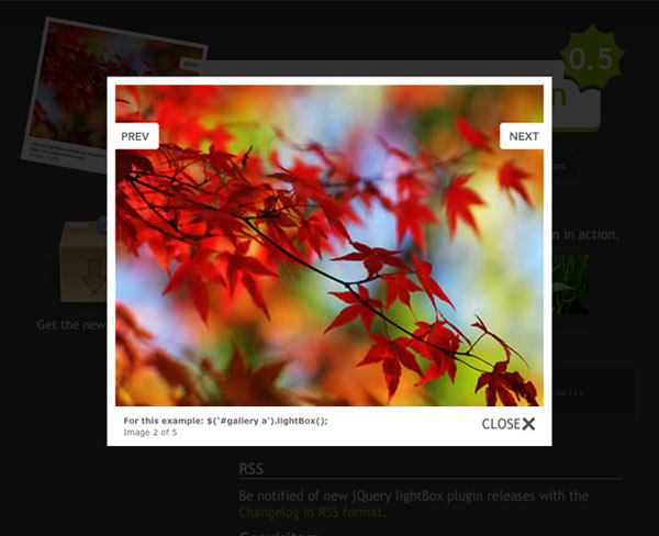 25-jquery-image-galleries-and-slideshow-plugins-20