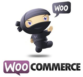 Top 10 đoạn code hữu ích cho những ai xài WooCommerce
