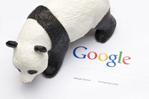 Top 5 wordpress plugin giúp bạn hạ gục Google Panda