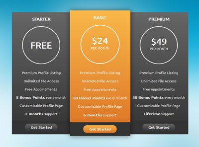 an-tuong-voi-pricing-table-lam-tu-css3
