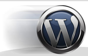 5 plugin giúp bạn tăng tốc trang WordPress