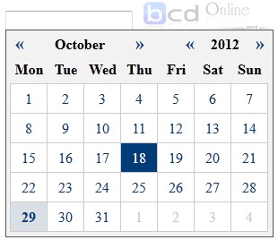 Js Calendar date input