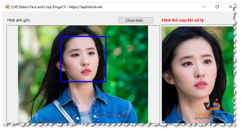 detect_face_and_crop_demo