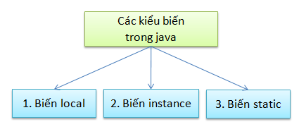 Các kiểu biến trong java