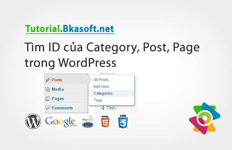 tim-id-cua-category-post-page-trong-wordpress