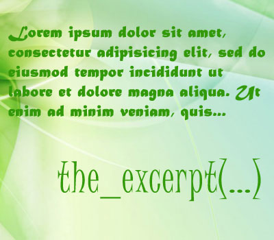 the_excerpt