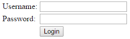 custom directive login form